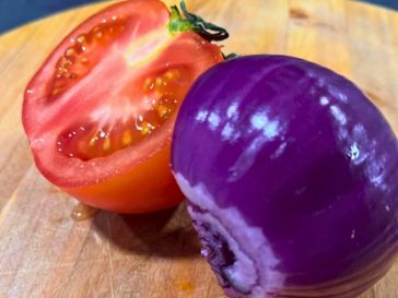 fresh onion & tomato